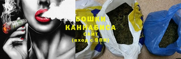 индика Балабаново