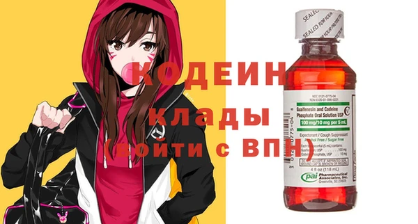 индика Балабаново