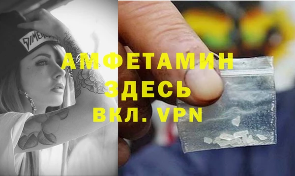 индика Балабаново