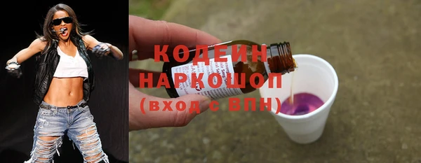 индика Балабаново