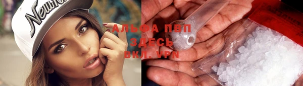 индика Балабаново