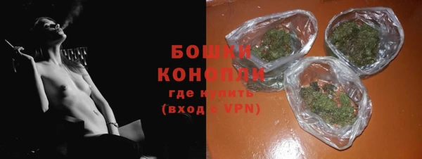 индика Балабаново