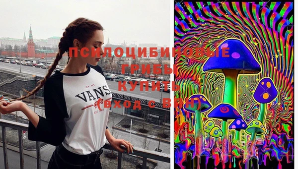 индика Балабаново