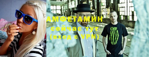 индика Балабаново