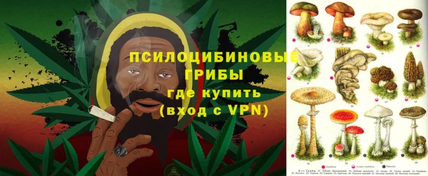 индика Балабаново