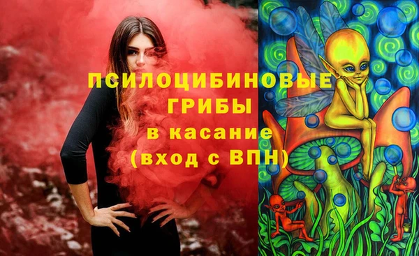 СК Балахна