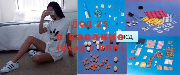 индика Балабаново