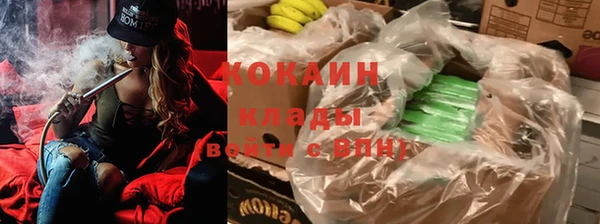 индика Балабаново